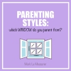 PARENTING STYLES: which WINDOW do you parent from?
